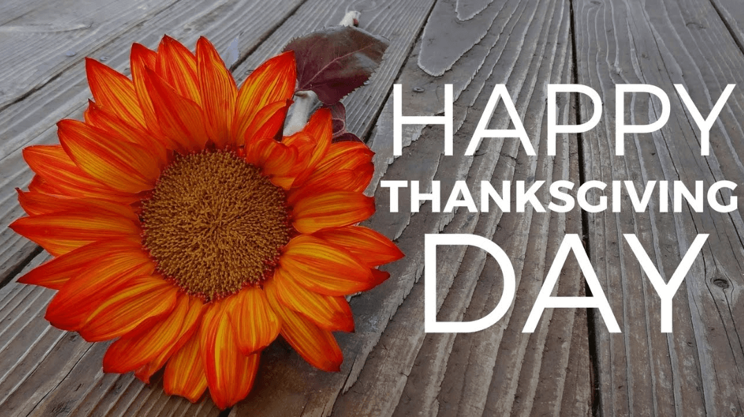 Happy thanksgiving quotes